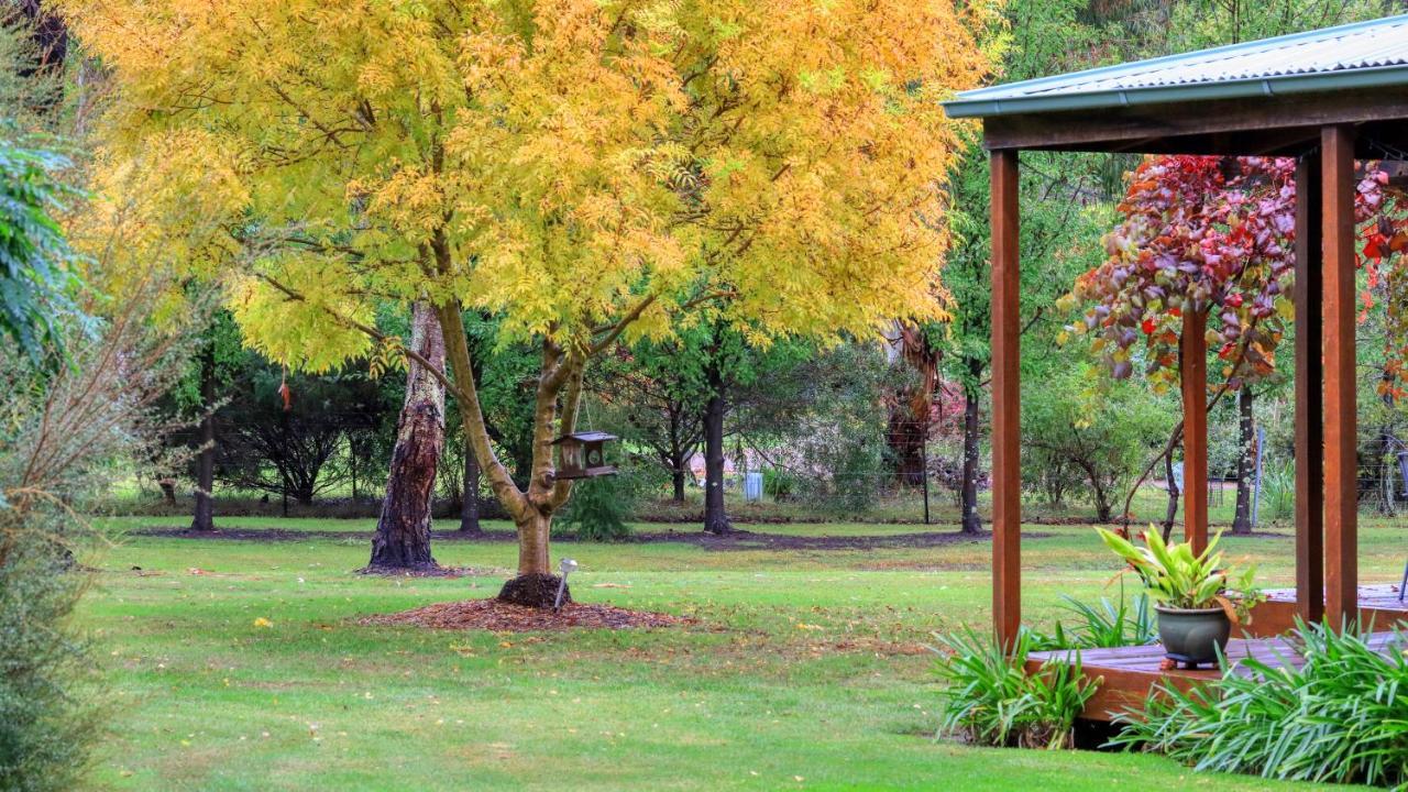 Beechworth Cedar Cottages Ngoại thất bức ảnh